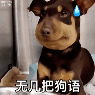 狗语翻译器免费