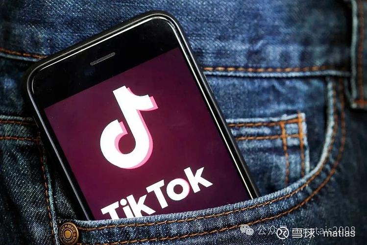 tiktok账号多少元一个