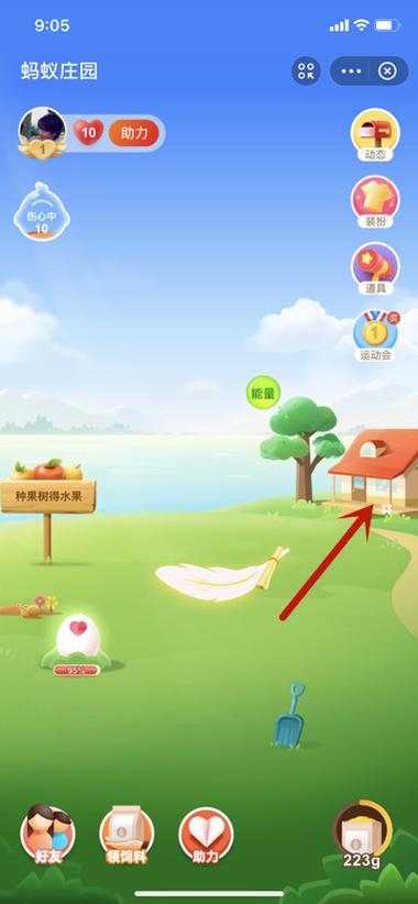 蚂蚁庄园小鸡不见了