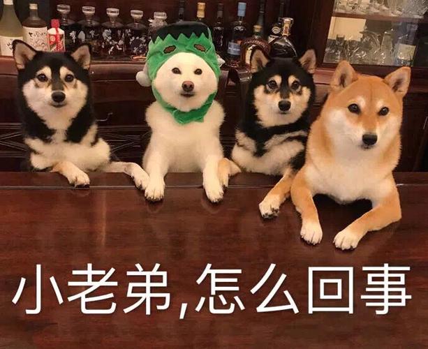 怎么回事小老弟原图