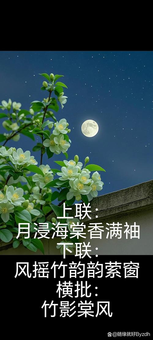 月落花语完整版免费观看
