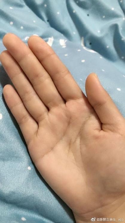 双手平放抖动