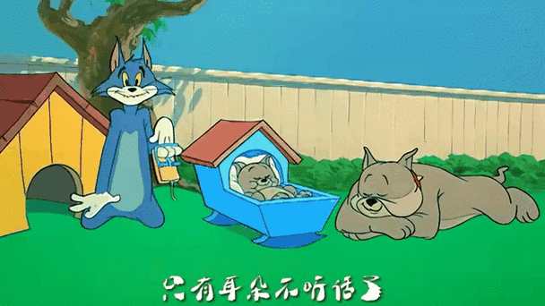 猫老霸