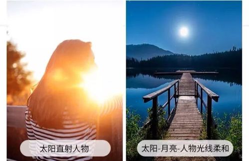 手机拍vlog配件