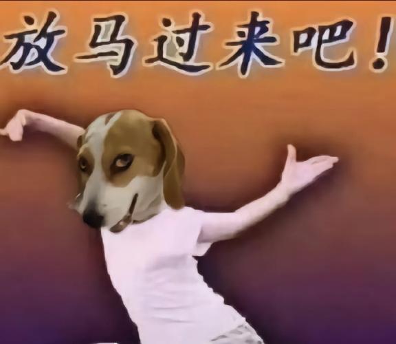 尽管放马过来