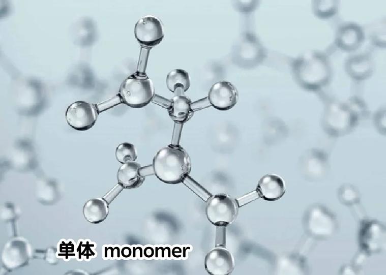 高一生物多聚体和单体图标