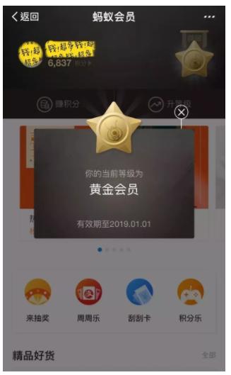蚂蚁会员是什么缩略图