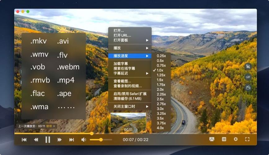 rmvb和wmv