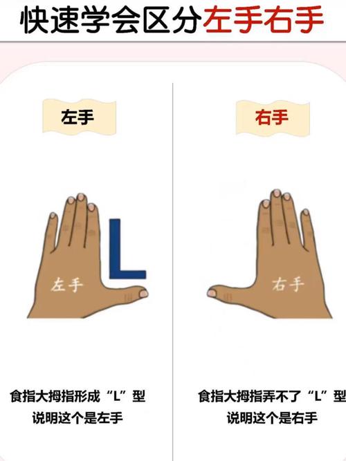 L型手势