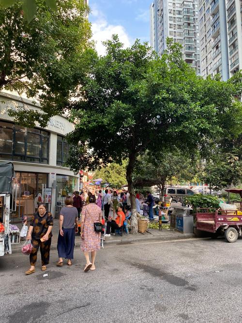 捕捉5个护城龙