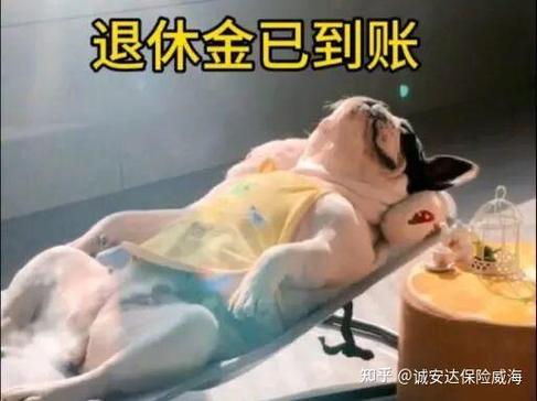 外贸2000万订单提成一般多少