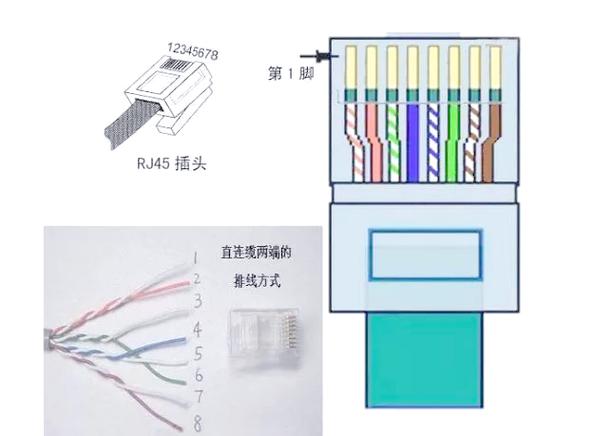 网线和面板的接法图解