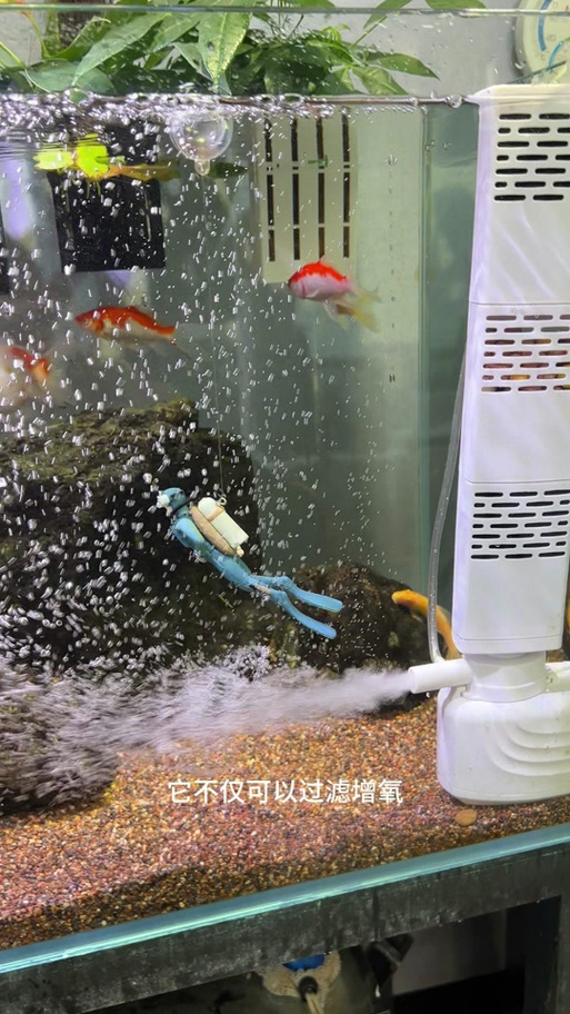 鱼缸水泵呼呼响不上水