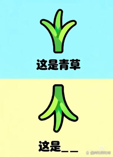 谐音梗猜图骨头