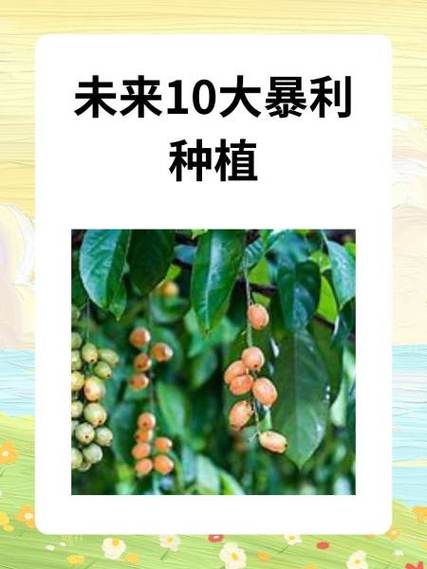 未来10大暴利种植游戏截图