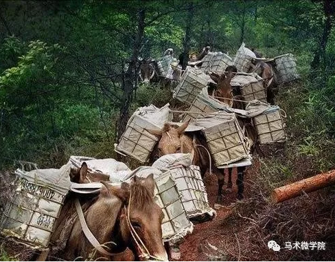 马帮网站