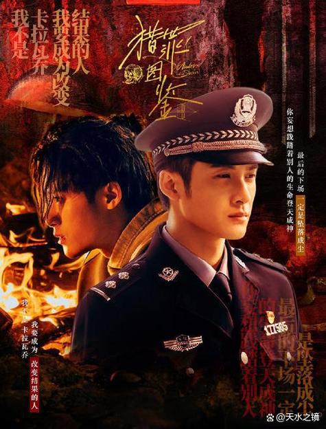 光芒电视剧播出时间表