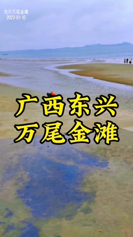 东兴万尾金滩潮汐表