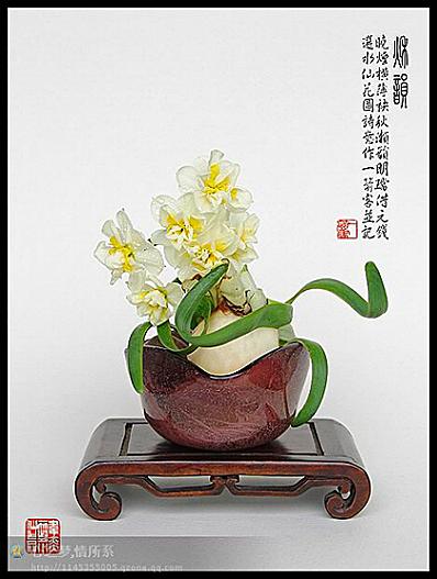 水仙散文图标