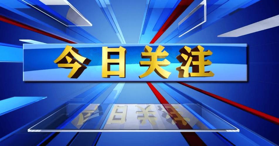 今日关注 回放