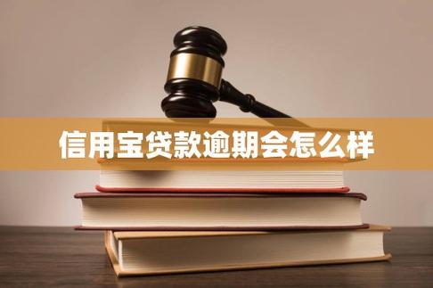 信用宝贷款