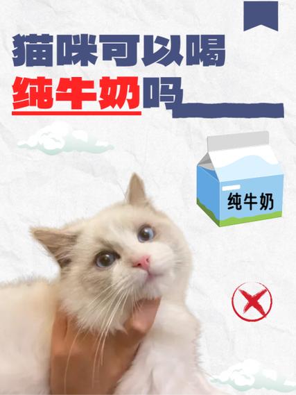 猫提牛奶梗图