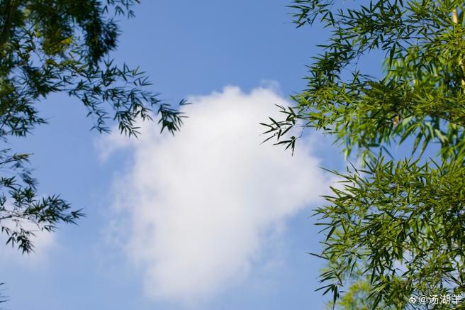 随手拍是什么意思