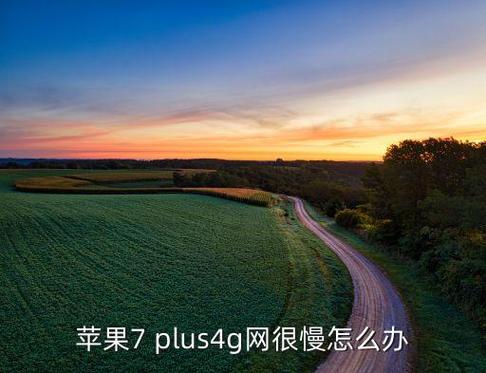 苹果手机7最近4g上网慢
