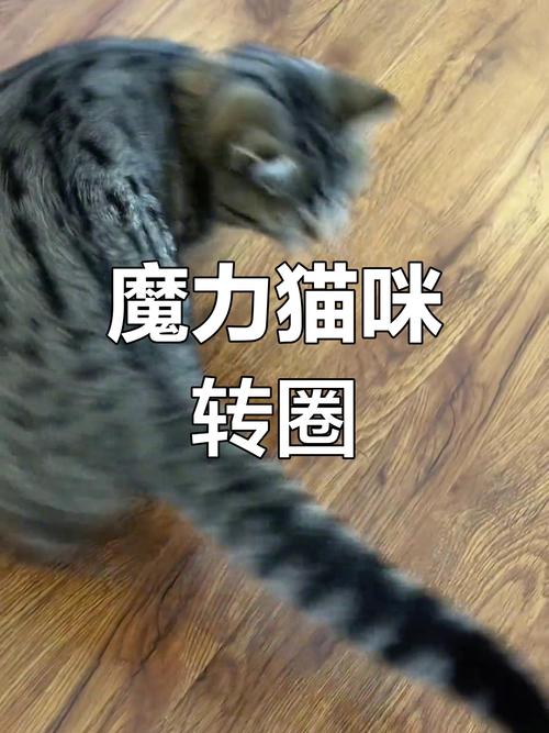 推特一直转圈圈加载怎么回事