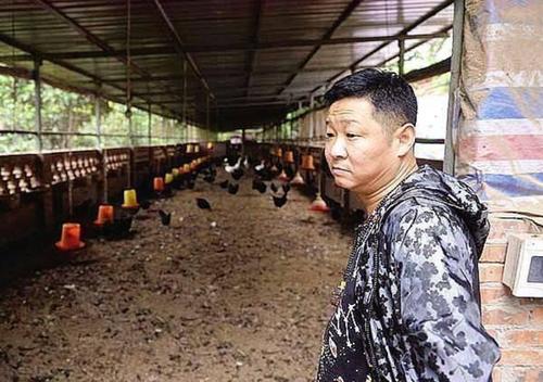 养鸡笼最新款缩略图