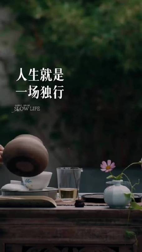 我独自生活升级
