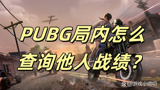 怎么看吃鸡战绩和谁玩