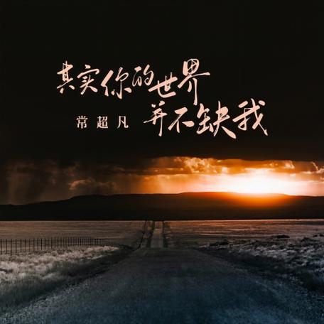 你的世界里根本不缺我截图