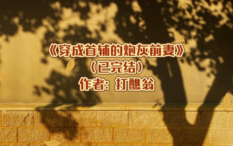 穿成首辅的炮灰前妻游戏截图