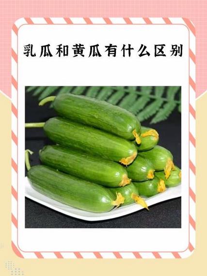 瓜瓜暗示什么截图