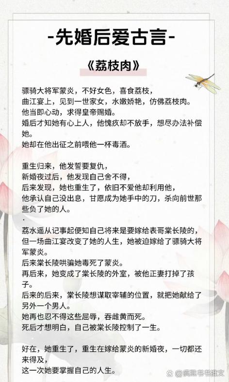 《荔枝肉》作者:青山卧雪百度网盘
