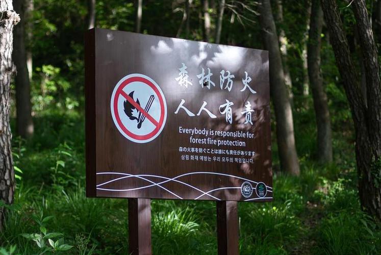 悬挂森林防火警示牌