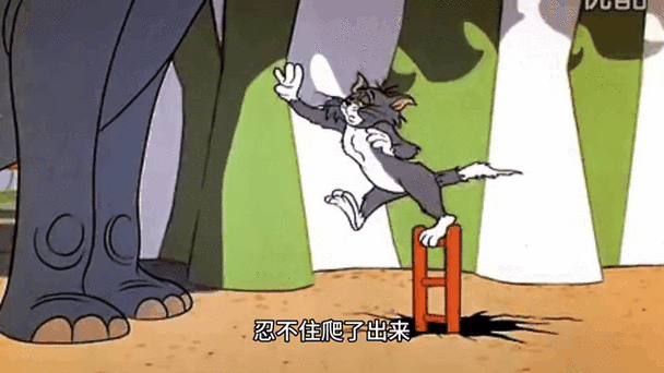 猫和老鼠一登录就闪退