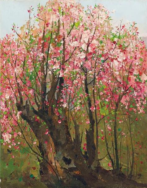 为什么《桃花》不写了