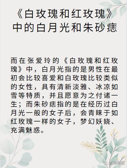 你是朱砂痣 亦是白月光什么意思