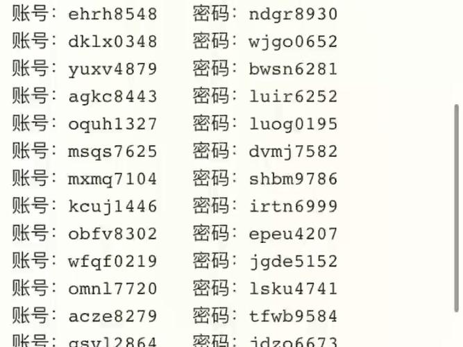 4399游戏盒豪华账号密码大全截图