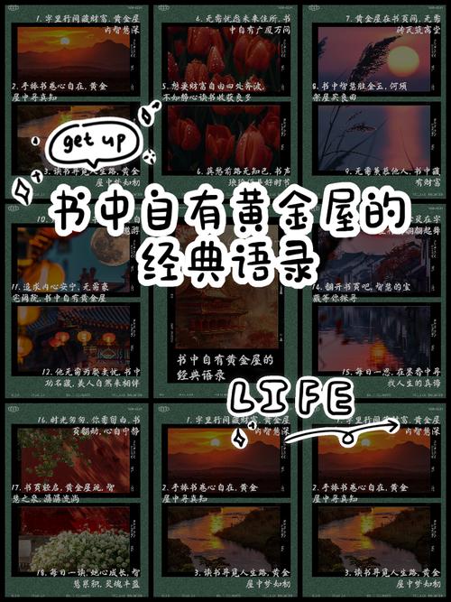 金屋by笔趣阁免费阅读小说