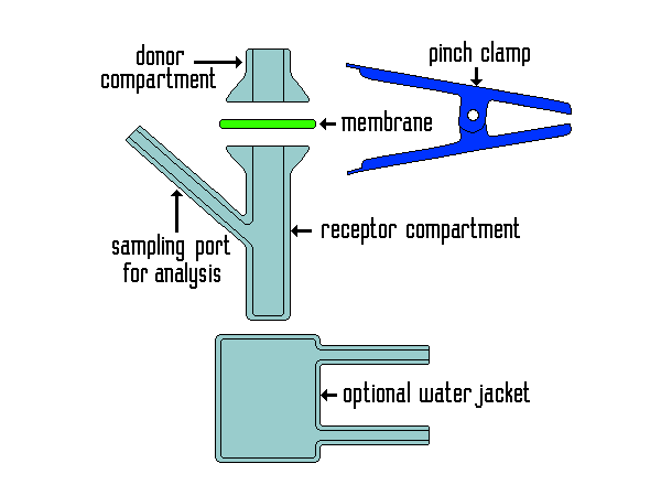 franz扩散池怎么读