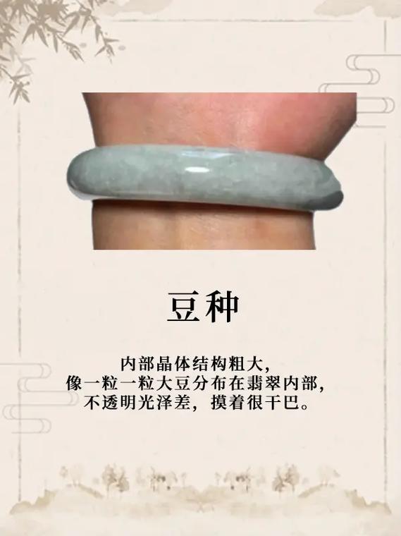 豆种最贵三个颜色缩略图