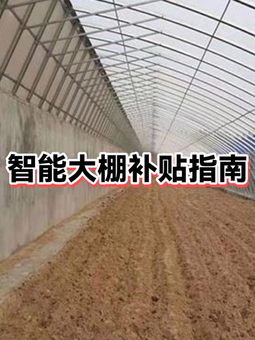 建大棚国家有补贴吗