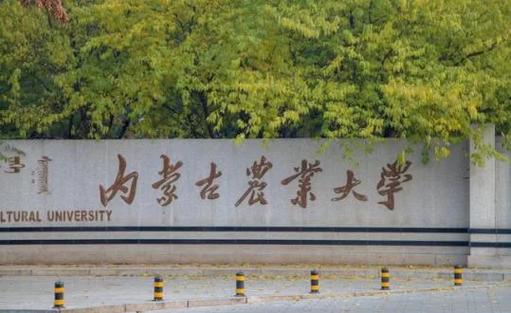 内蒙农大属于什么档次