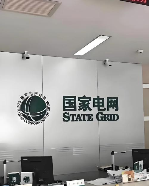 花45万进国家电网是正式的呢截图