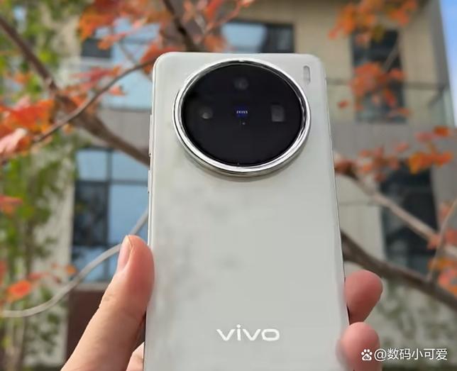 vivo手机能换电池吗大概多少钱缩略图