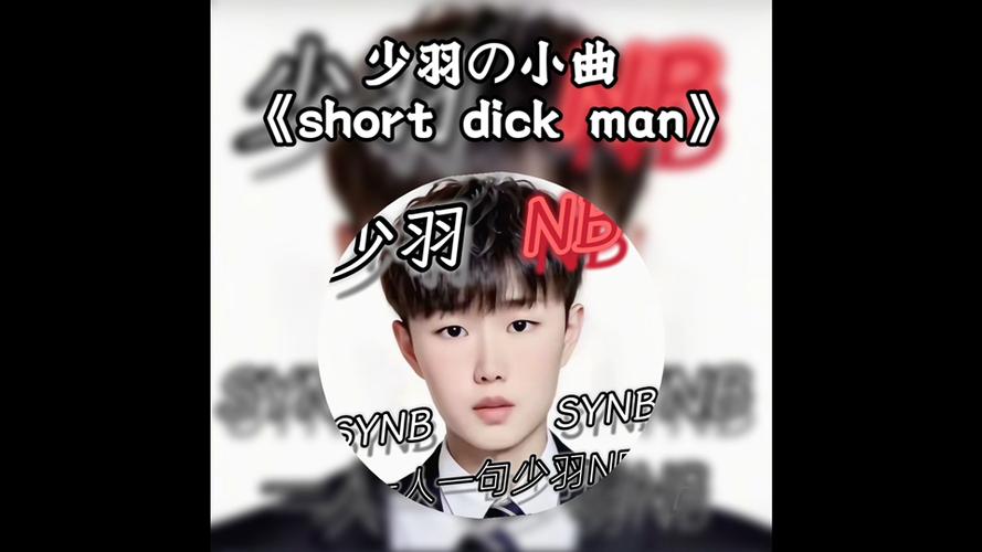 少羽歌曲