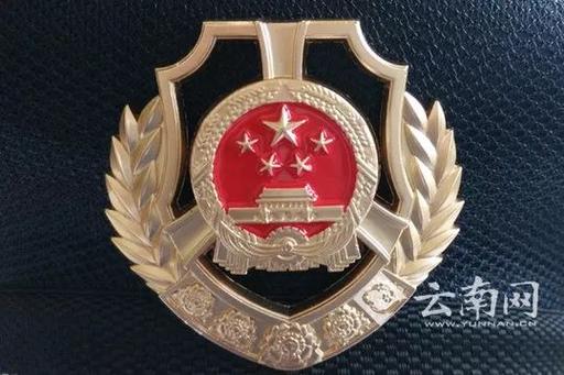 胸口带国徽是什么单位